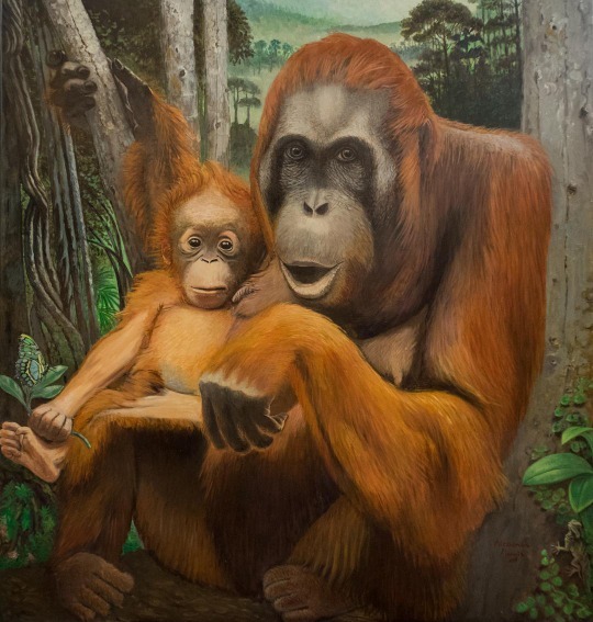 Wild_Motherhood